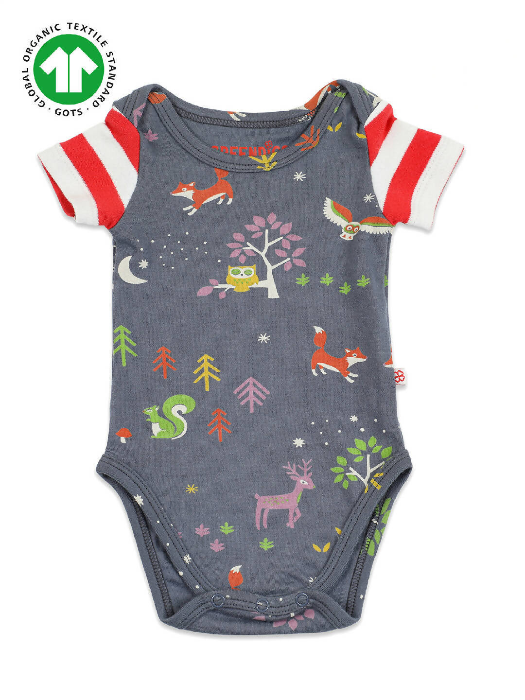 Bluish Grey Organic Cotton Printed Bodysuit for Baby Girls