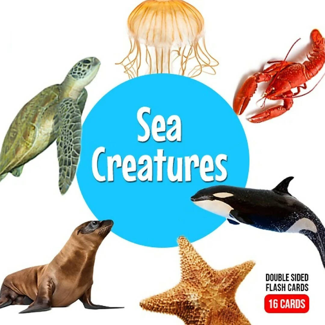 Sea Creatures - Baby Flash Cards - 16 Card