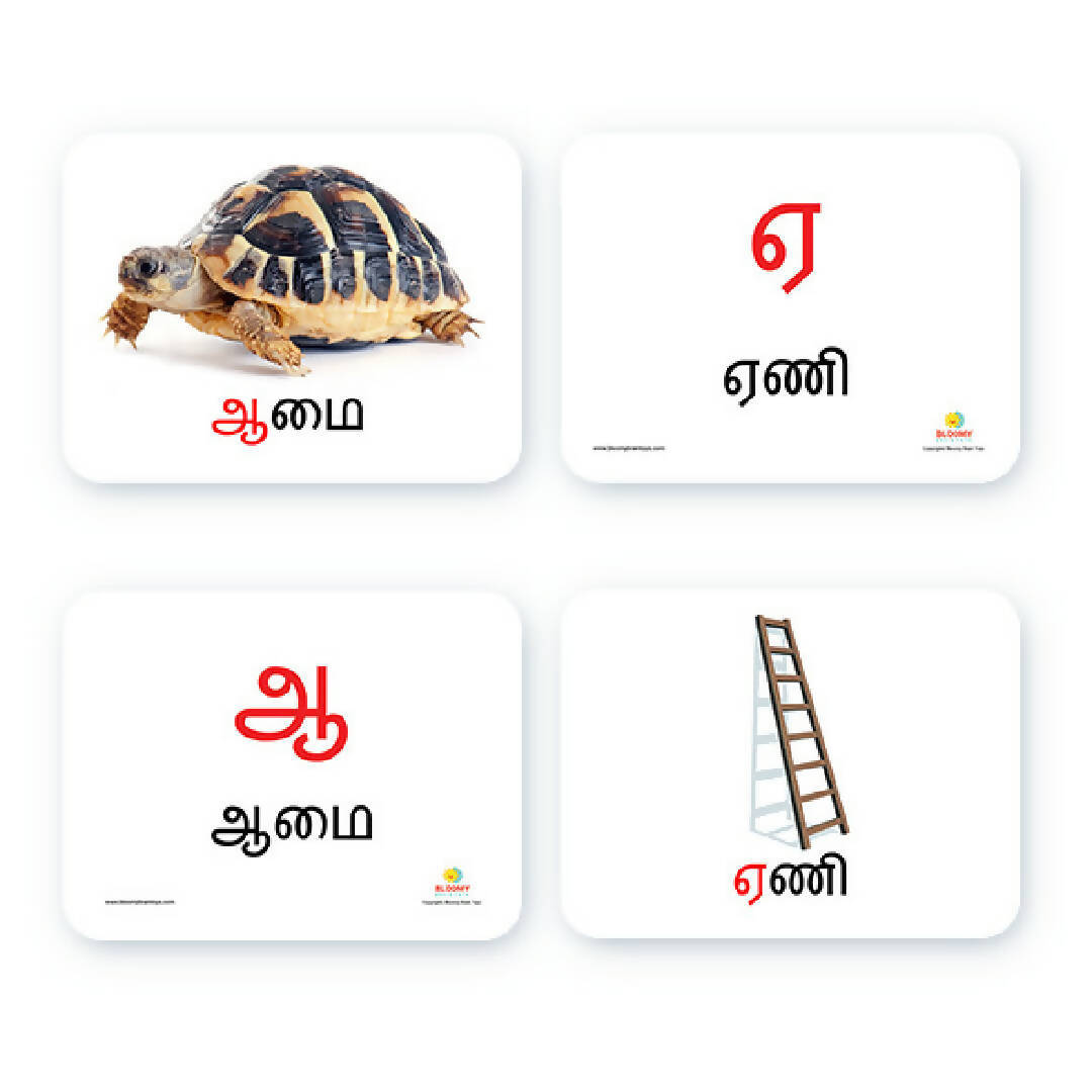 Tamil Alphabet Flash Cards